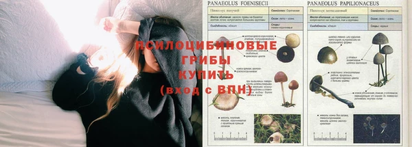 дистиллят марихуана Верея