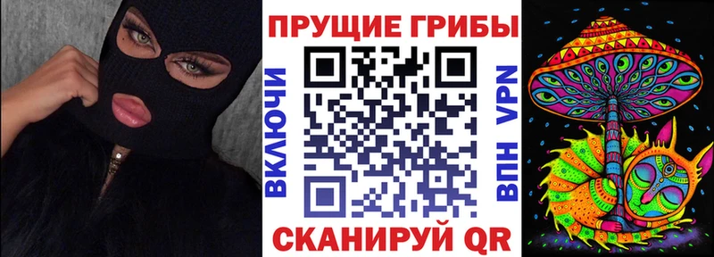 магазин    дарк нет какой сайт  mega сайт  Галлюциногенные грибы MAGIC MUSHROOMS  Иннополис 